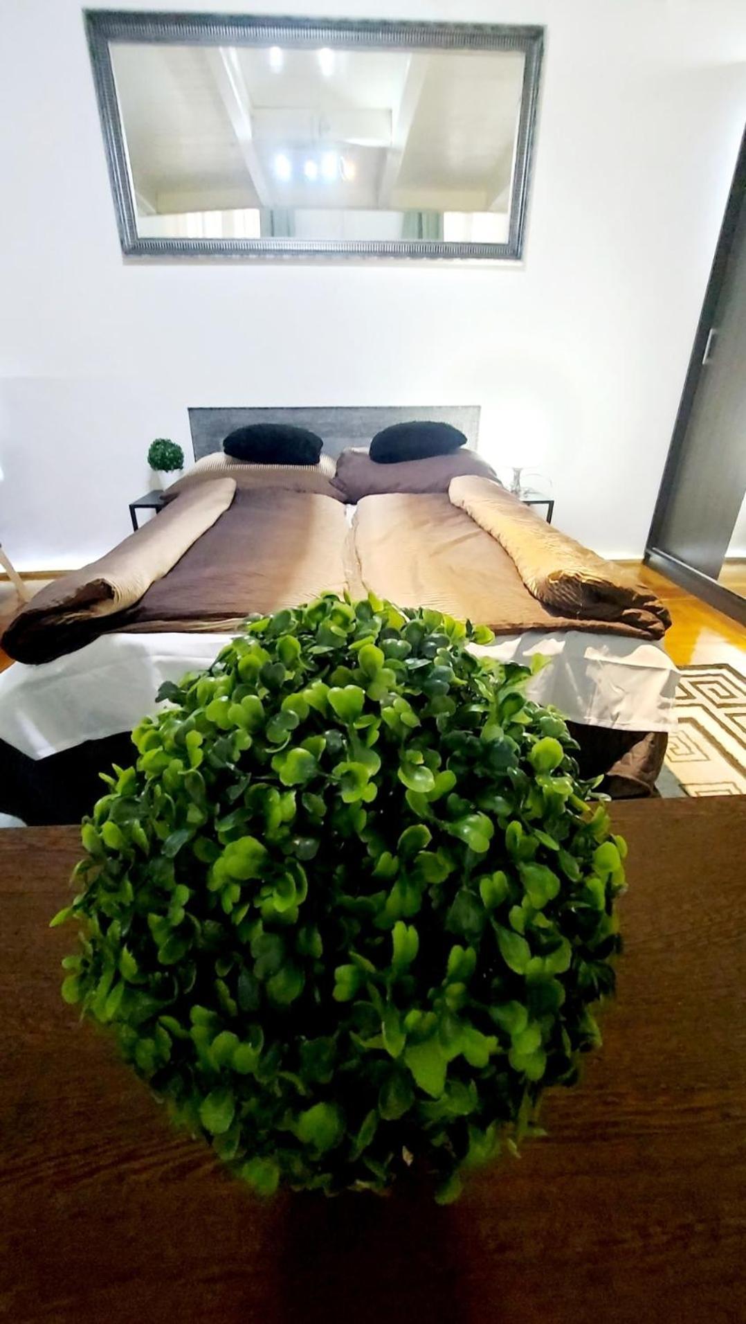 Home City Center Terrace Apartment Budapest Exterior photo